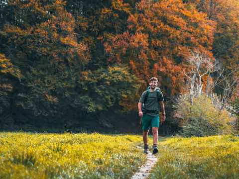 Dutch Mountain Trail