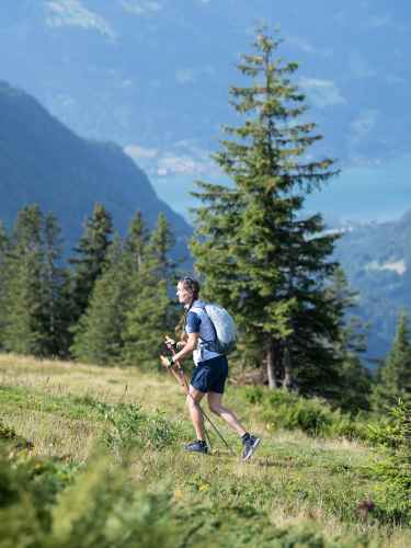 Image photo with the MADDOX GTX LO Ws,