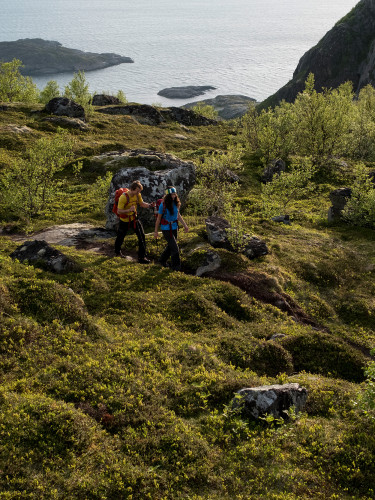 Wanderszene auf den Festvagtinden bei Henningsvaer, Lofoten, Norwegen.