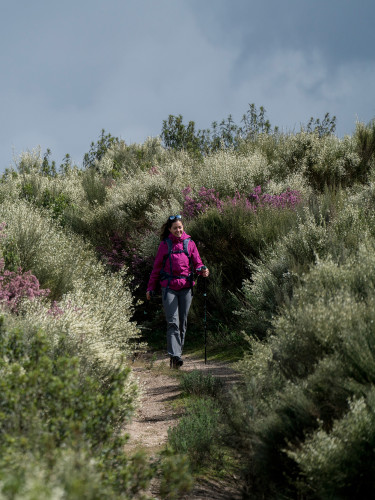 Wanderszene bei
Mangualde, Viseu, Portugal.