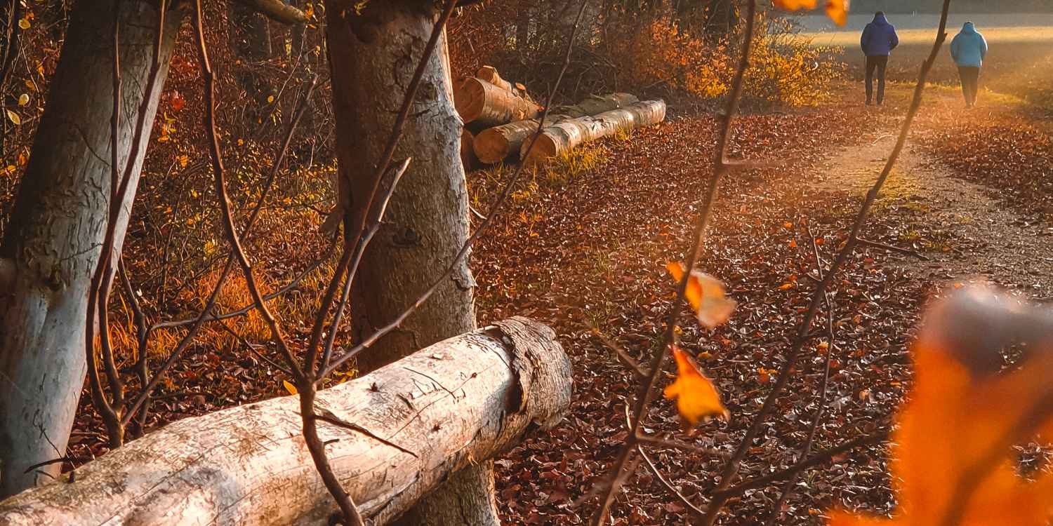 Tipps für Gassigeher im Herbst