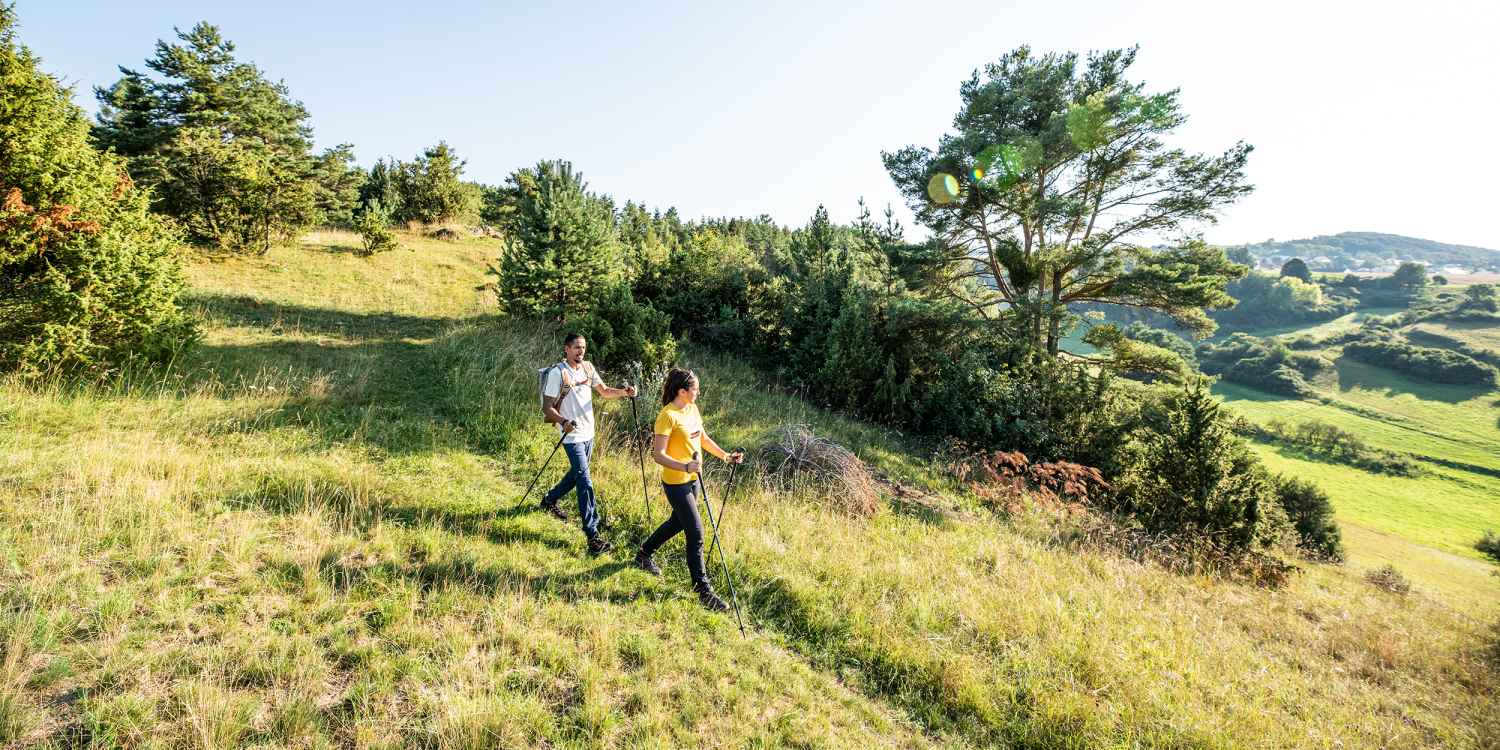 Mit dem luftig leichten und wasserdichten Multifunktionsschuh MADDOX GTX LO fühlt sich Mann in jedem Terrain wohl - sei es im Outdoor-Urlaub oder der Freizeit. Mit der praktischen Speed-Lace-Technologie kann der Sportschuh schnell und einfach an die individuellen Bedürfnisse angepasst werden, während die GORE-TEX-Membran für konstant trockene Füße sorgt.