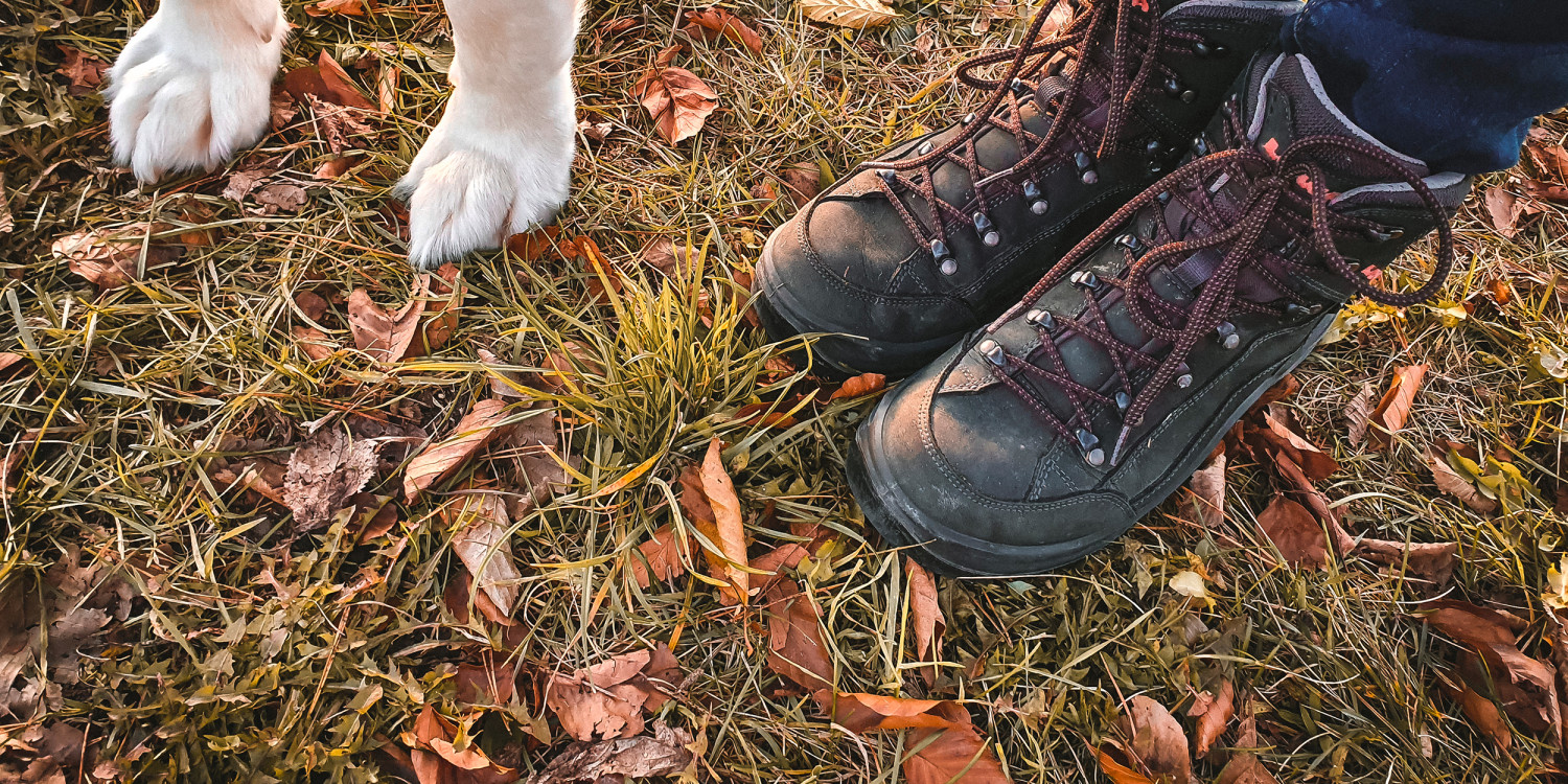 Image photo with the RENEGADE GTX MID Ws, Tipps für Gassigeher im Herbst