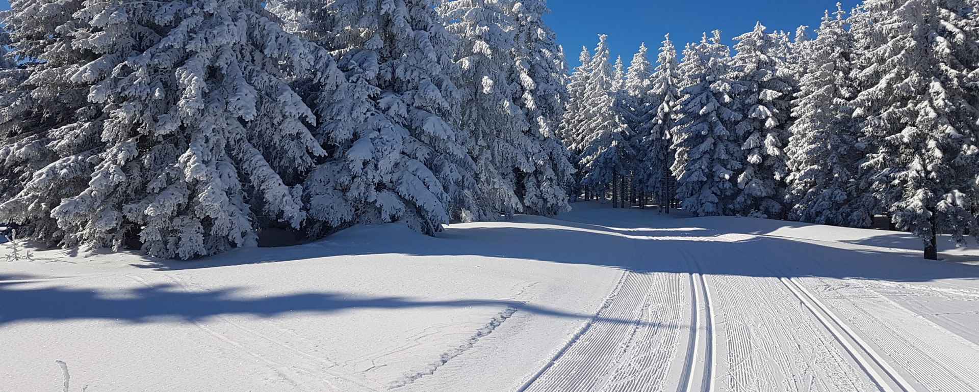 Aussicht Langlauf Rennsteig Schnee Sonne Suhler Ausspanne Winter