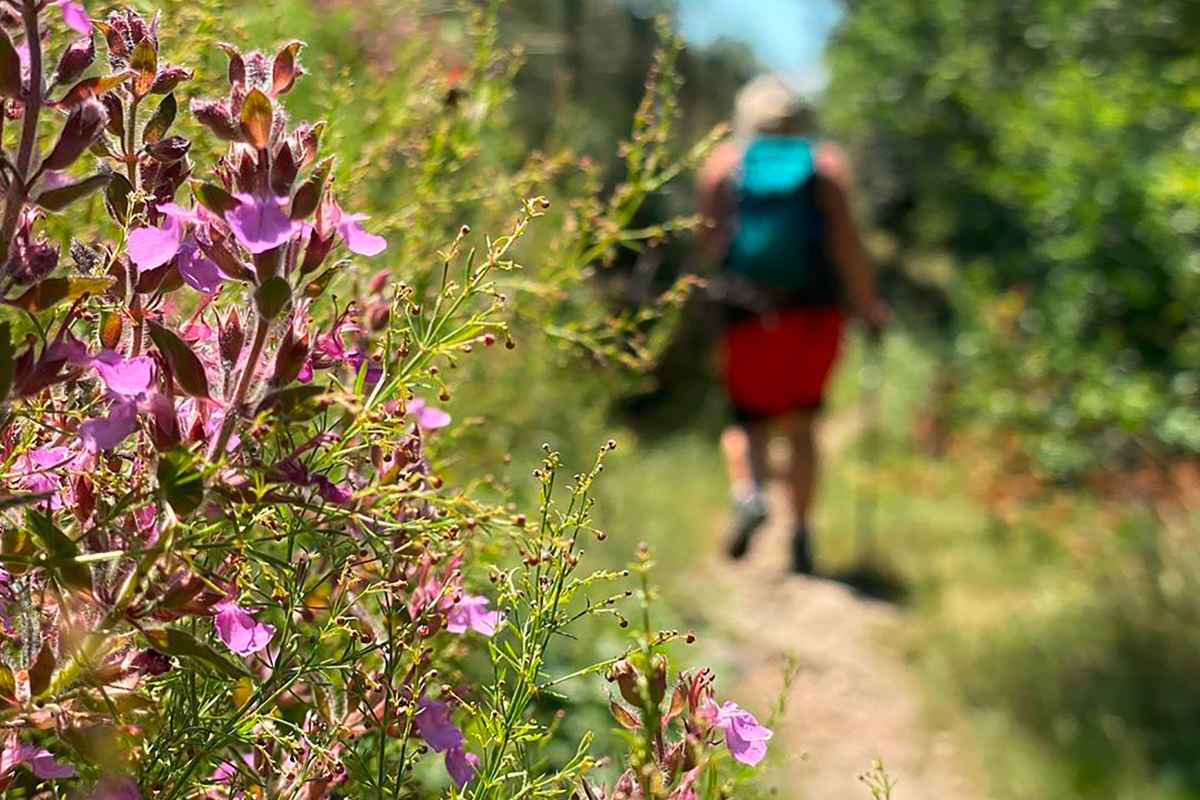 Photo avec la INNOX PRO GTX MID, Microadventures