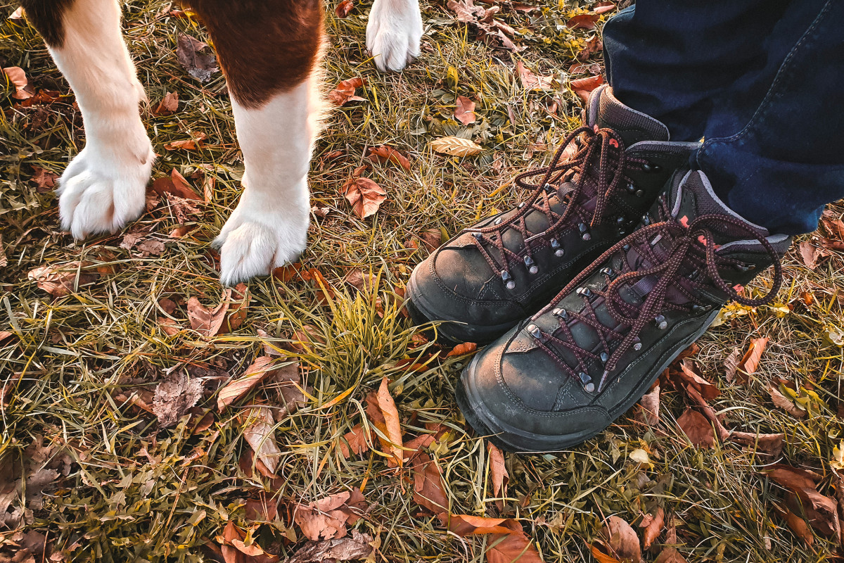 Imagefoto mit dem RENEGADE GTX MID Ws, Tipps für Gassigeher im Herbst