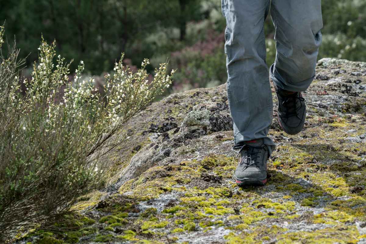 RENEGADE GTX LO: ALL TERRAIN CLASSIC Schuhe für Männer | LOWA AT