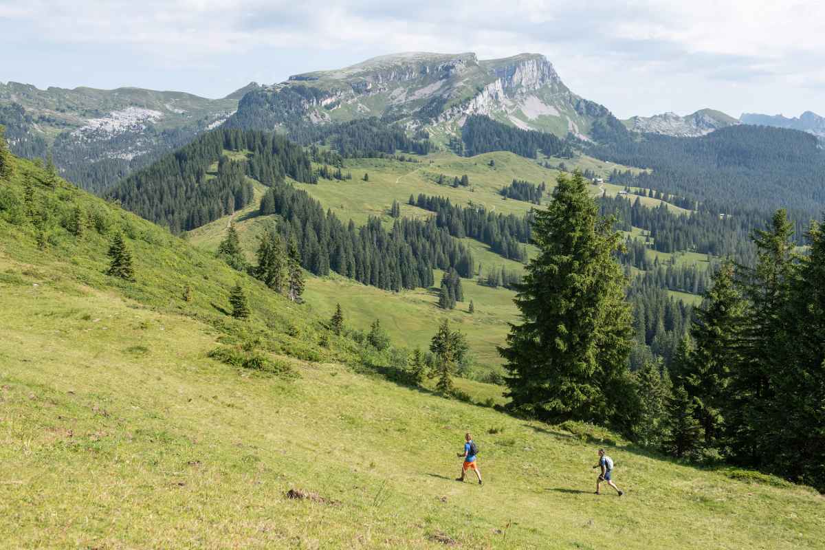 Mit dem luftig leichten und wasserdichten Multifunktionsschuh MADDOX GTX LO Ws fühlen sich Abenteuerinnen in jedem Terrain wohl - sei es im Outdoor-Urlaub oder der Freizeit. Mit der praktischen Speed-Lace-Technologie kann der Sportschuh schnell und einfach an die individuellen Bedürfnisse angepasst werden, während die GORE-TEX-Membran für konstant trockene Füße sorgt.