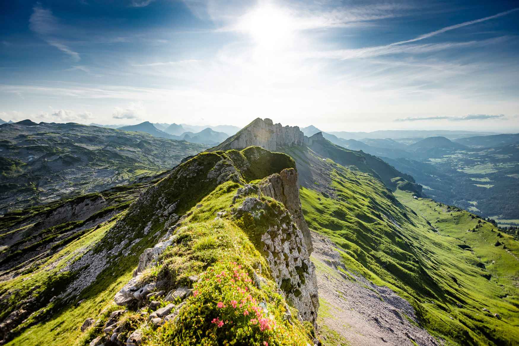 Ob ausgedehnter Spaziergang oder eine Wanderung auf befestigten Wegen - der TAURUS PRO GTX MID Ws fühlt sich überall wohl. Der leichte und dezente Multifunktionsschuh wurde über einen speziellen Damenleisten gefertigt und bietet durch seinen MID-CUT-Schaft aus Veloursleder und robustem Textilgewebe eine gute Performance bei optimalem Tragekomfort. Zugleich sorgt das wasserdichte GORE-TEX-Futter für allzeit besten Komfort.