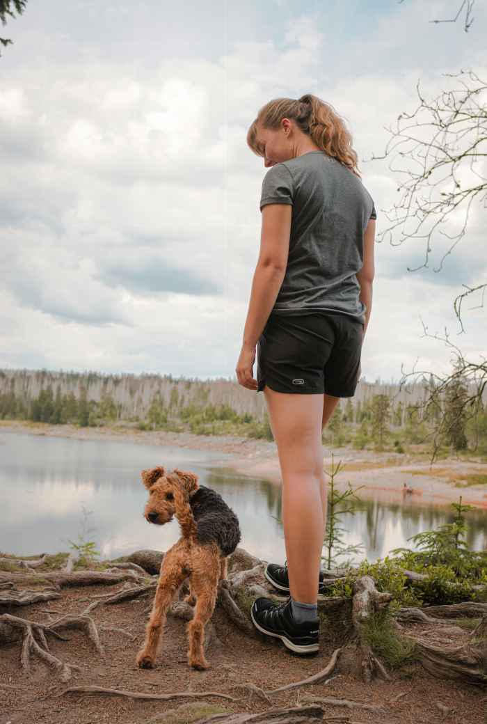 Superbequem, leicht und atmungsaktiv setzen die hochfunktionellen Halbschuhe INNOX PRO GTX LO Ws nicht nur Maßstäbe, sondern auch optische Akzente - sei es beim Spaziergang durch die Stadt oder draußen beim Wandern im Gelände. Während die direkt angespritzte Zwischensohle aus LOWA DynaPU® für optimale Dämpfung sorgt, bieten der innovative LOWA-MONOWRAP®-Rahmen und der Soft Stabilizer eine optimale Führung des Fußes bei jedem Schritt