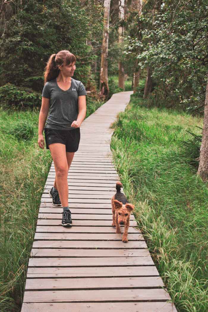 Superbequem, leicht und atmungsaktiv setzen die hochfunktionellen Halbschuhe INNOX PRO GTX LO Ws nicht nur Maßstäbe, sondern auch optische Akzente - sei es beim Spaziergang durch die Stadt oder draußen beim Wandern im Gelände. Während die direkt angespritzte Zwischensohle aus LOWA DynaPU® für optimale Dämpfung sorgt, bieten der innovative LOWA-MONOWRAP®-Rahmen und der Soft Stabilizer eine optimale Führung des Fußes bei jedem Schritt