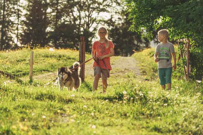 Was Erwachsene können, können Kids schon lange: Multifunktionsschuhe tragen zum Beispiel. 
Und zwar mit Leichtigkeit, denn das speziell an die Bedürfnisse kleiner Füße angepasste Hybrid-Modell MERGER GTX JUNIOR VCR sorgt definitiv für einen Hingucker. Dabei kann der wasserdichte Halbschuh mit seinem innovativen Gesamtkonzept beeindrucken. Denn neben einer optimalen Dämpfung und der nötigen Stabilität überzeugen die sportlichen Kinderschuhe vor allem durch jede Menge Tragekomfort, robuste Eigenschaften und ein optimales Fußklima.