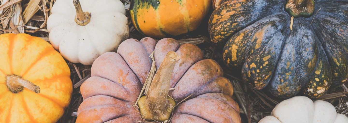 La ricetta del mese di ottobre: la vellutata di zucca