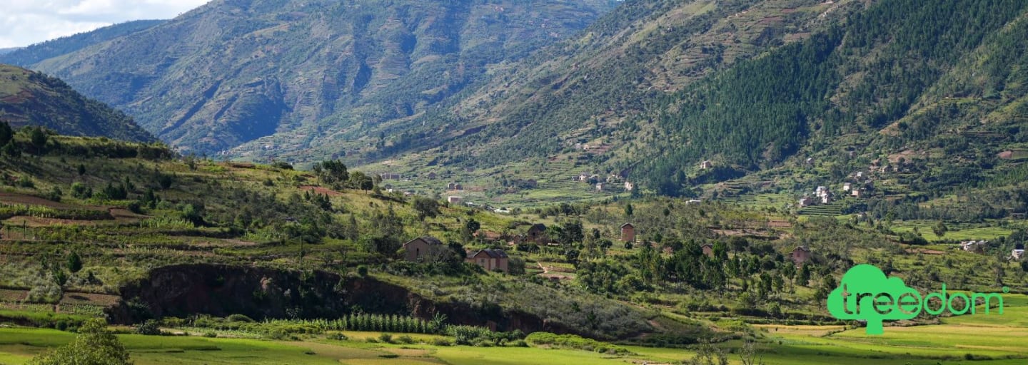 Il primo passo verso un futuro più green: Pianta un albero insieme a Treedom e Fitprime