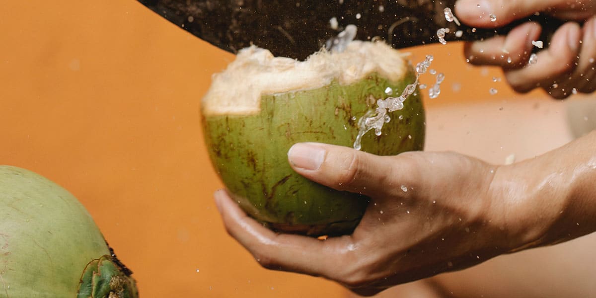 Acqua di cocco, benefici, proprietà e controindicazioni