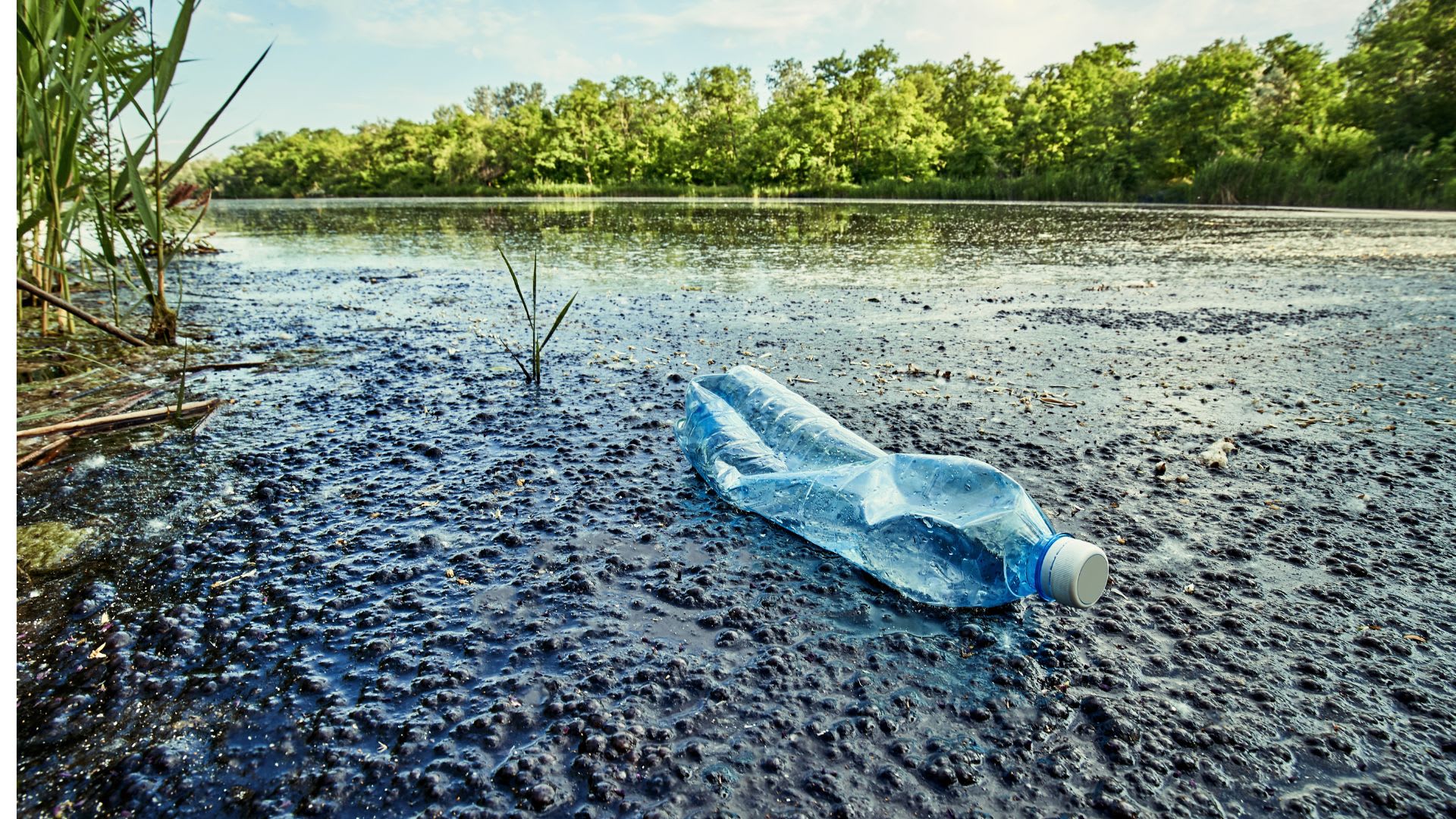 qual è la migliore acqua da bere?