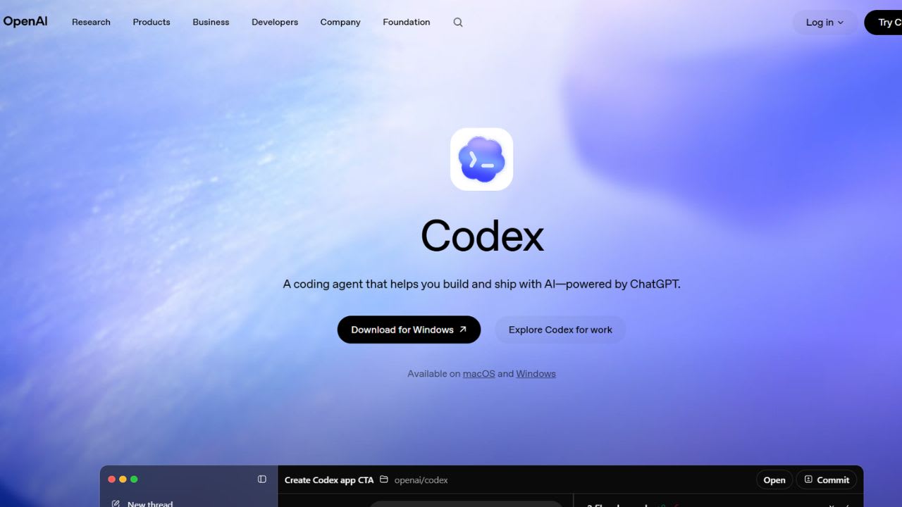 OpenAI Codex screenshot 1