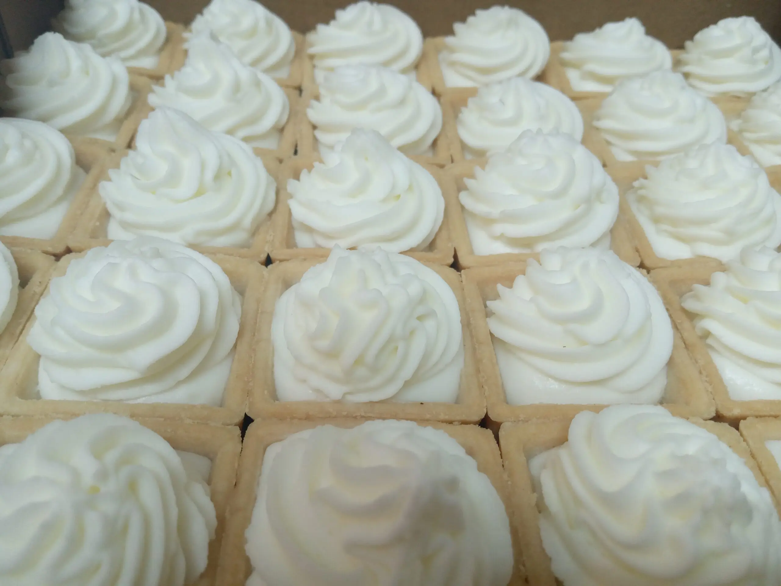 Shavous 24 Mini Cheesecakes