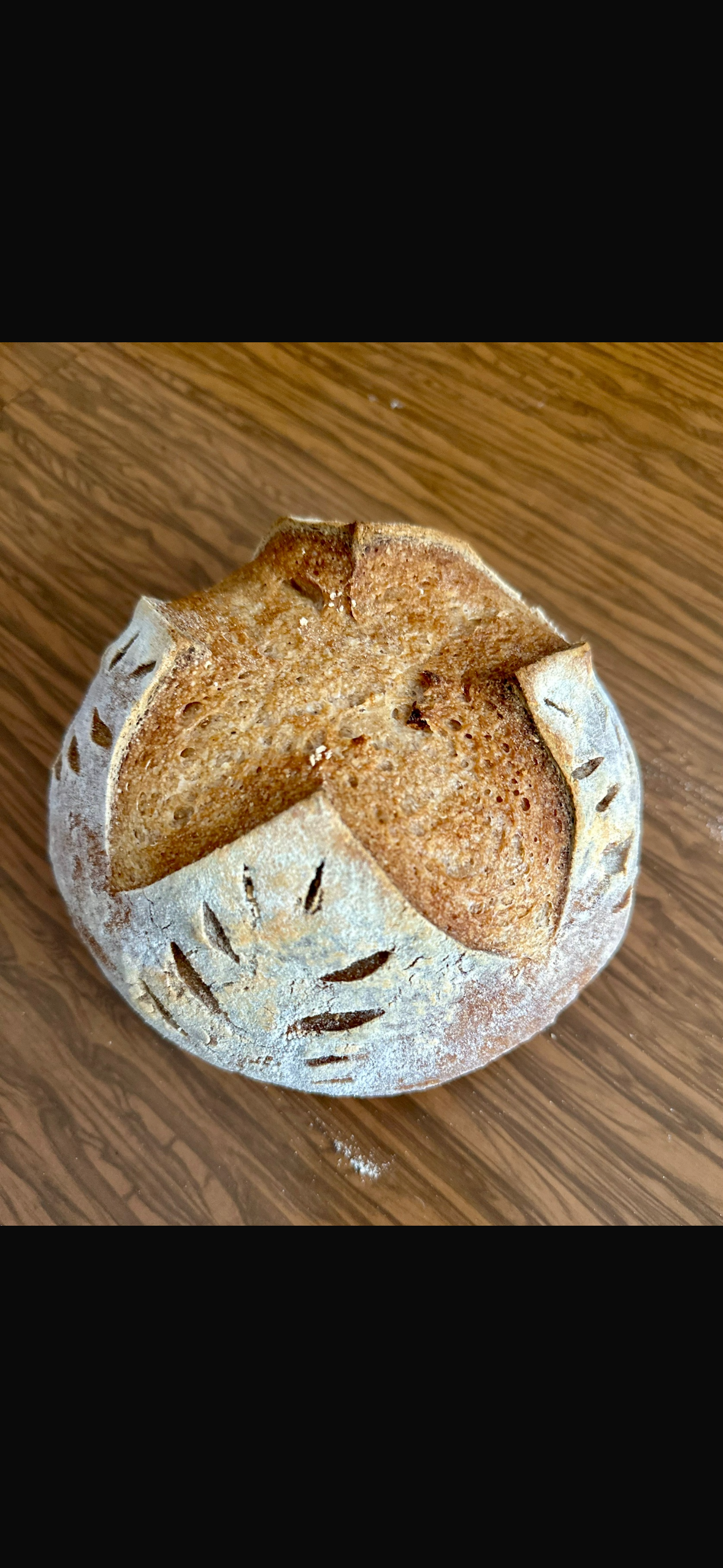 Shehakol GF Sourdough Loaf