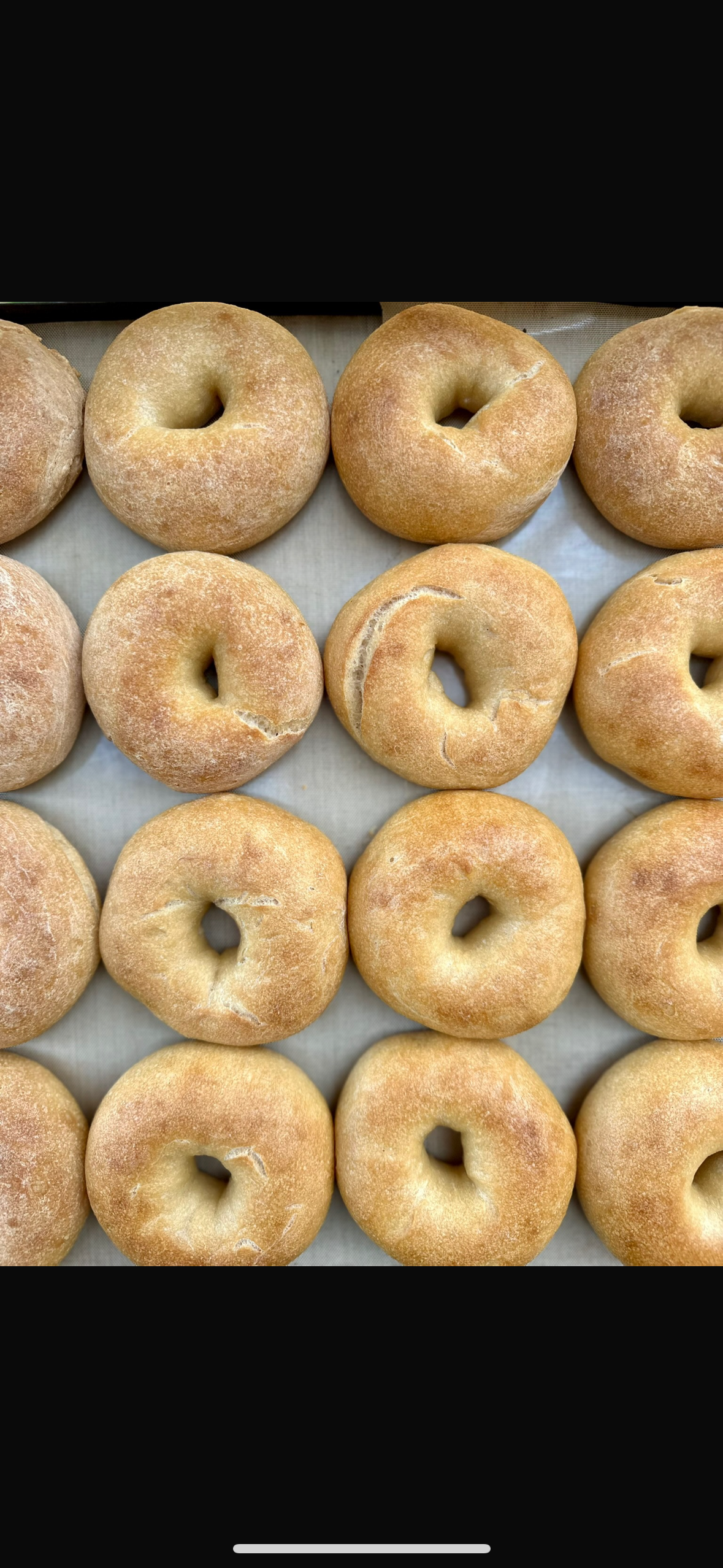 Hamozti GF Sourdough Bagels/4
