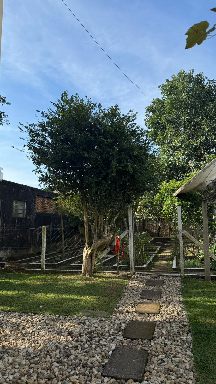 Ambiente da Clínica Amaro