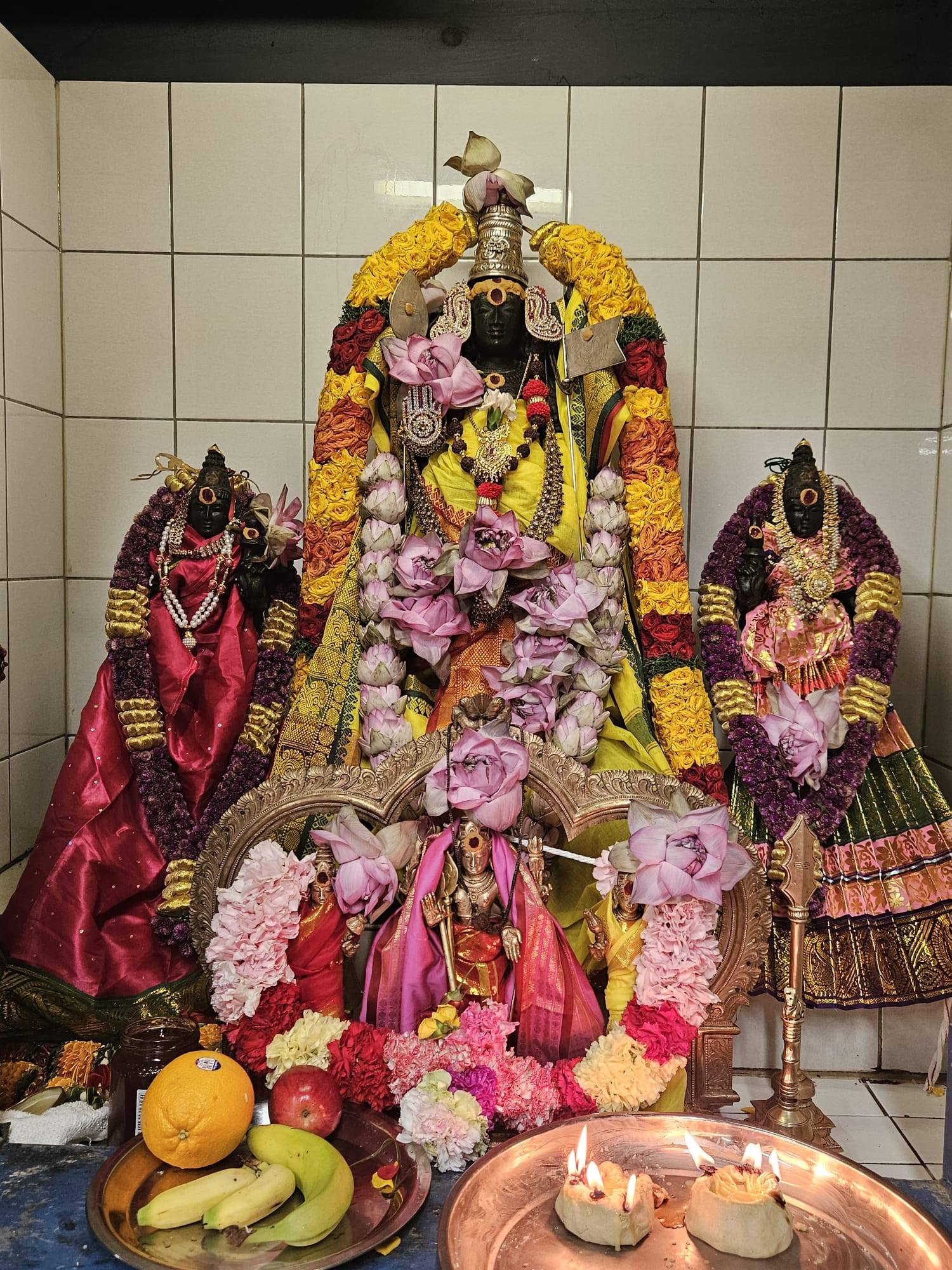 Sri Nagapooshani Ambika Samatha Nagalingeswar Temple
