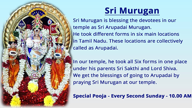 Sri Satyanarayana Pooja (Group)