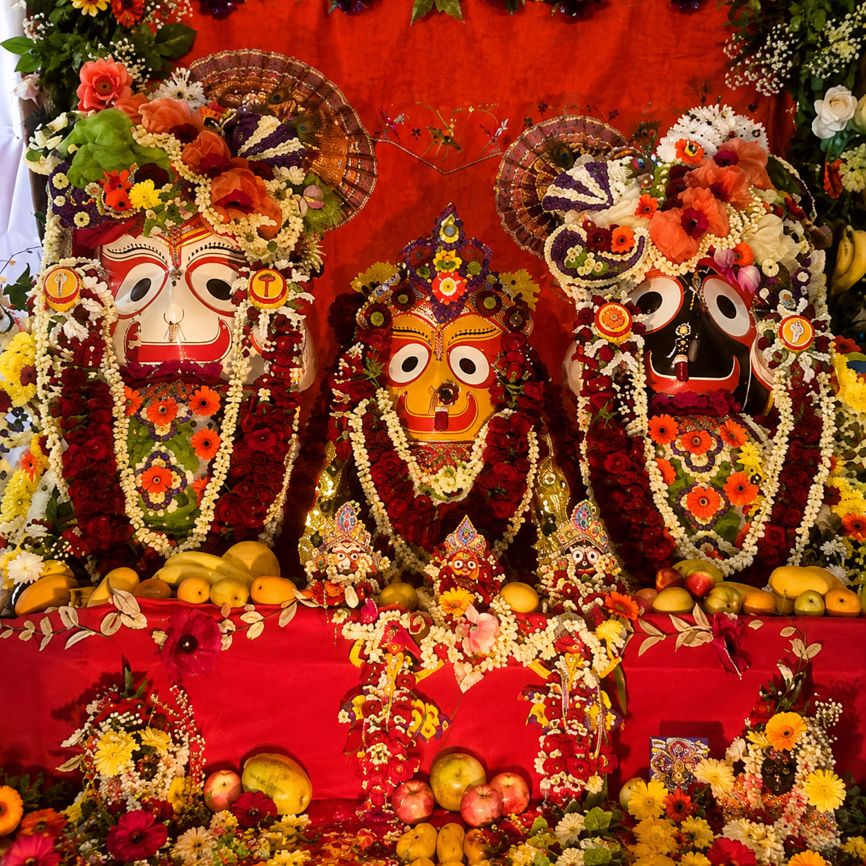 sunday sangha