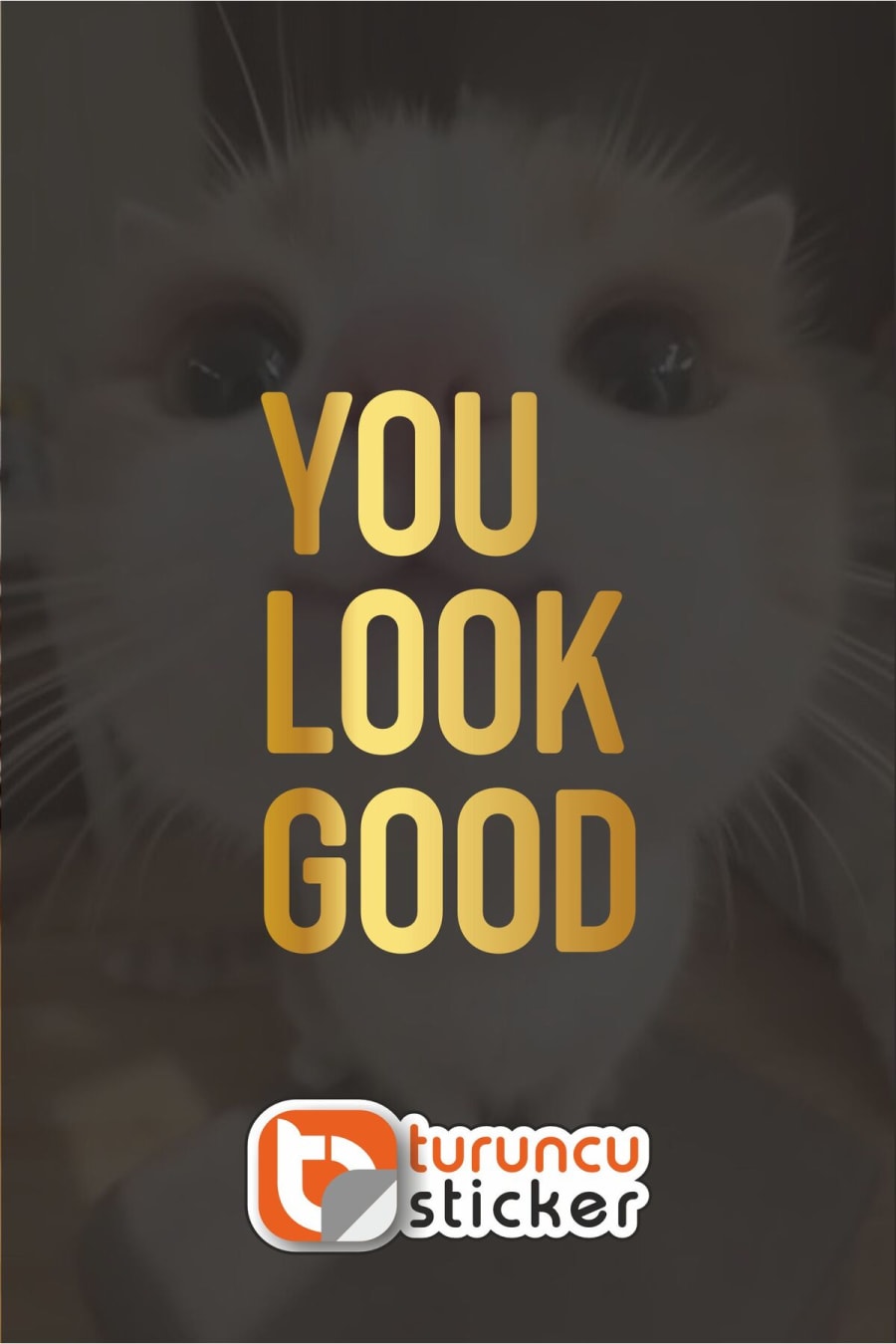 YOU LOOK GOOD Sticker Etiket 10x15 cm Ayna - Cam– Araç – Motor – Laptop - Kask Etiket Sticker