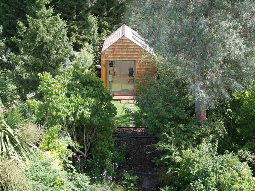 Woodland shed appears in Hackney garden.