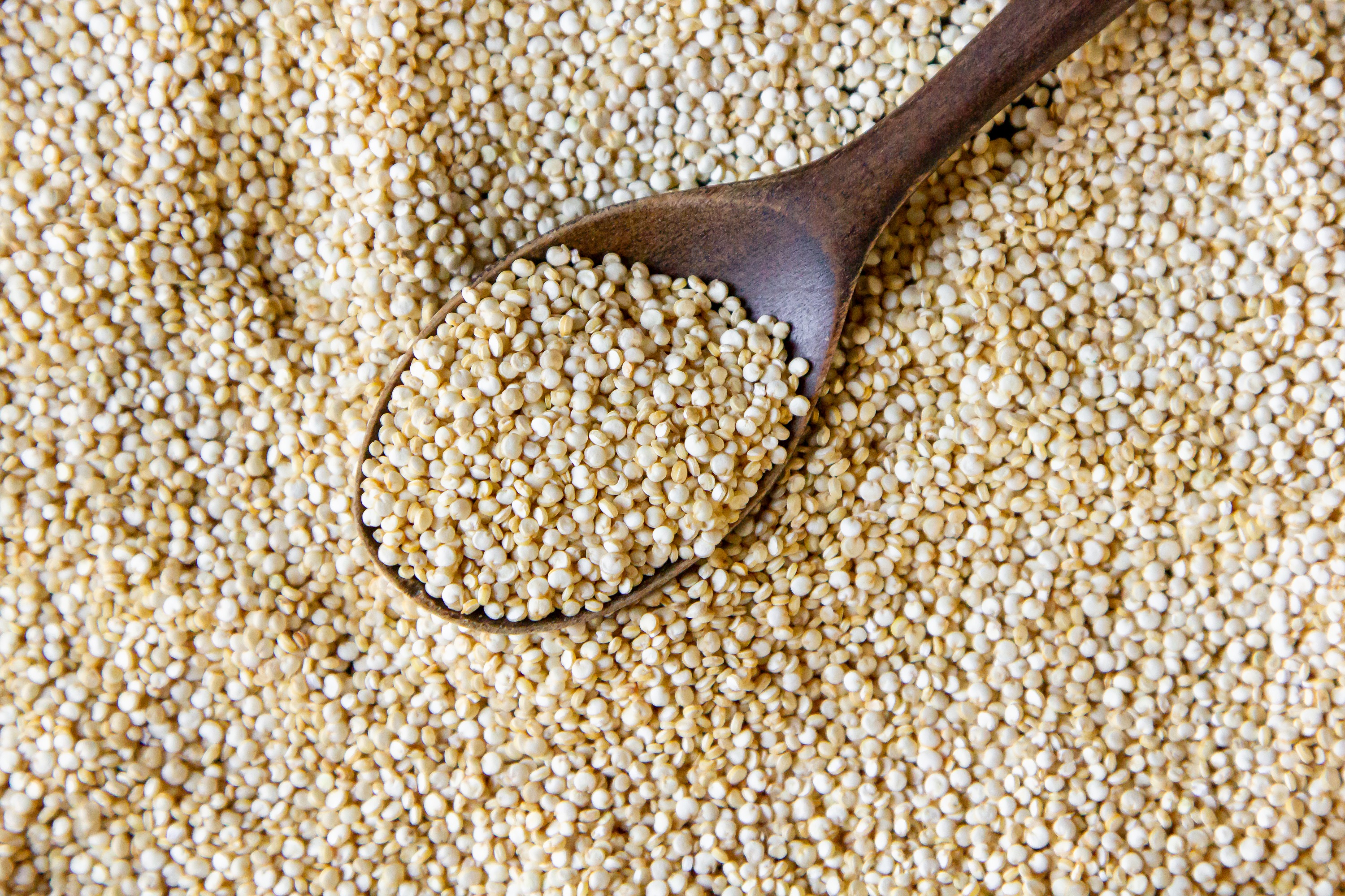 Quinoa em grãos