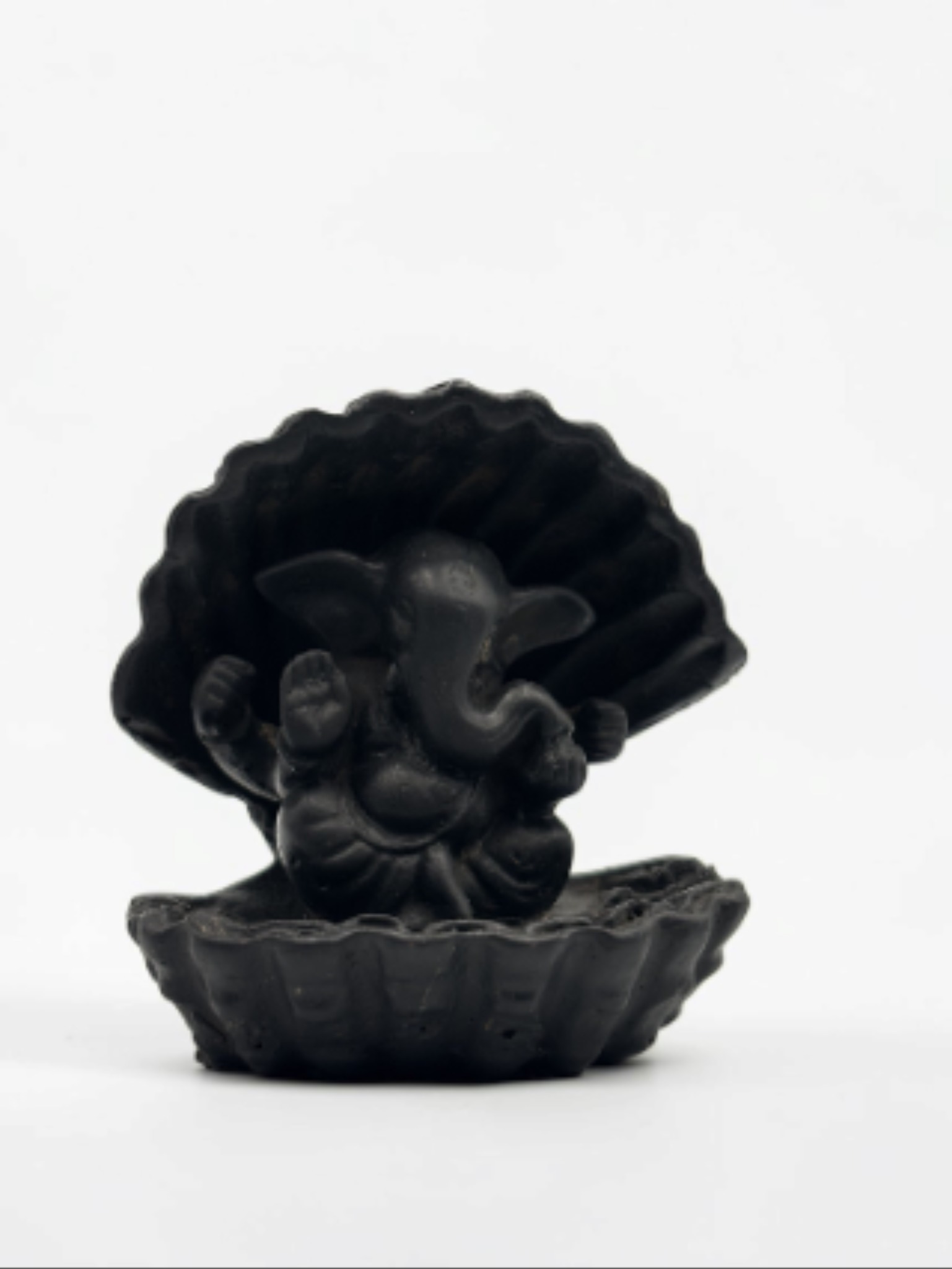 Product Zoomed