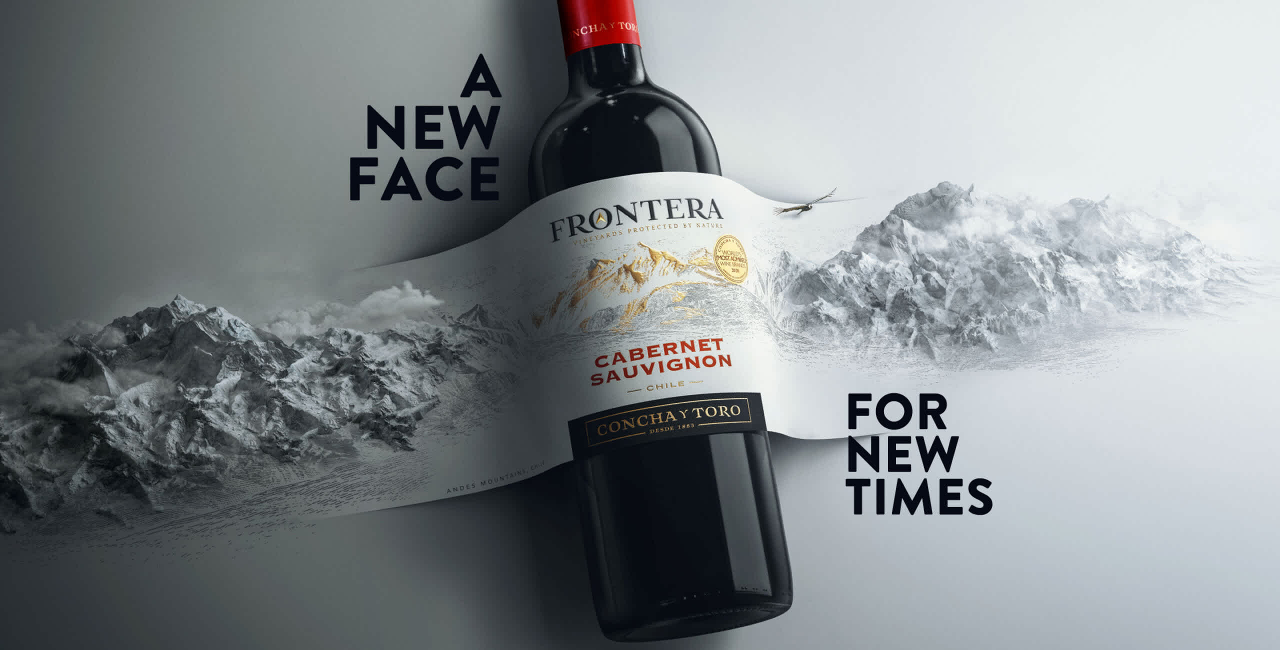 How Frontera Wines Lead the Pack Among Chilean Wines