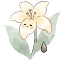 Hoa chia buồn