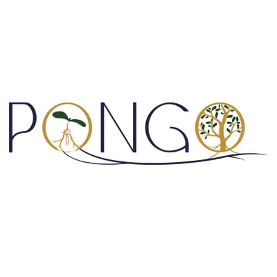 Logo de PONGO Conseil