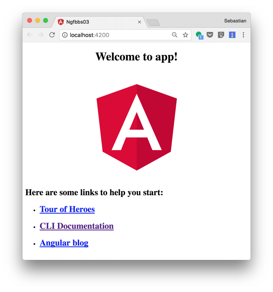 &ldquo;Angular Initial Project&rdquo;