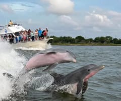 Captain Derek's Dolphin Adventure