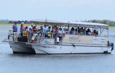 Amelia River Cruises & Charters