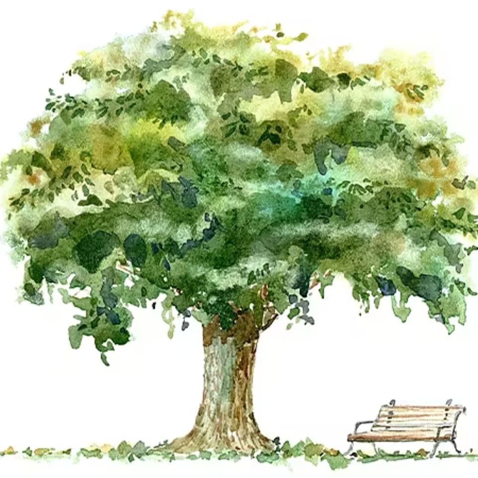 arbre