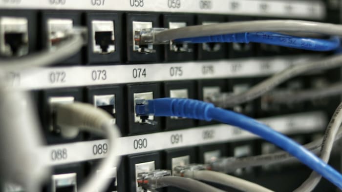 Network patch panel with coloured cables