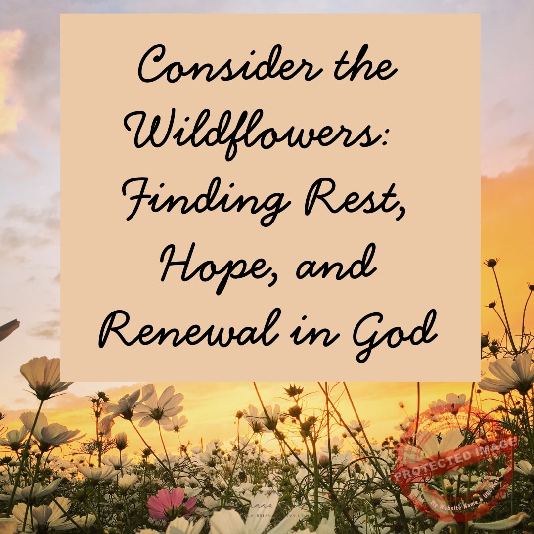 wildflowers finding rest, hope, and God's love