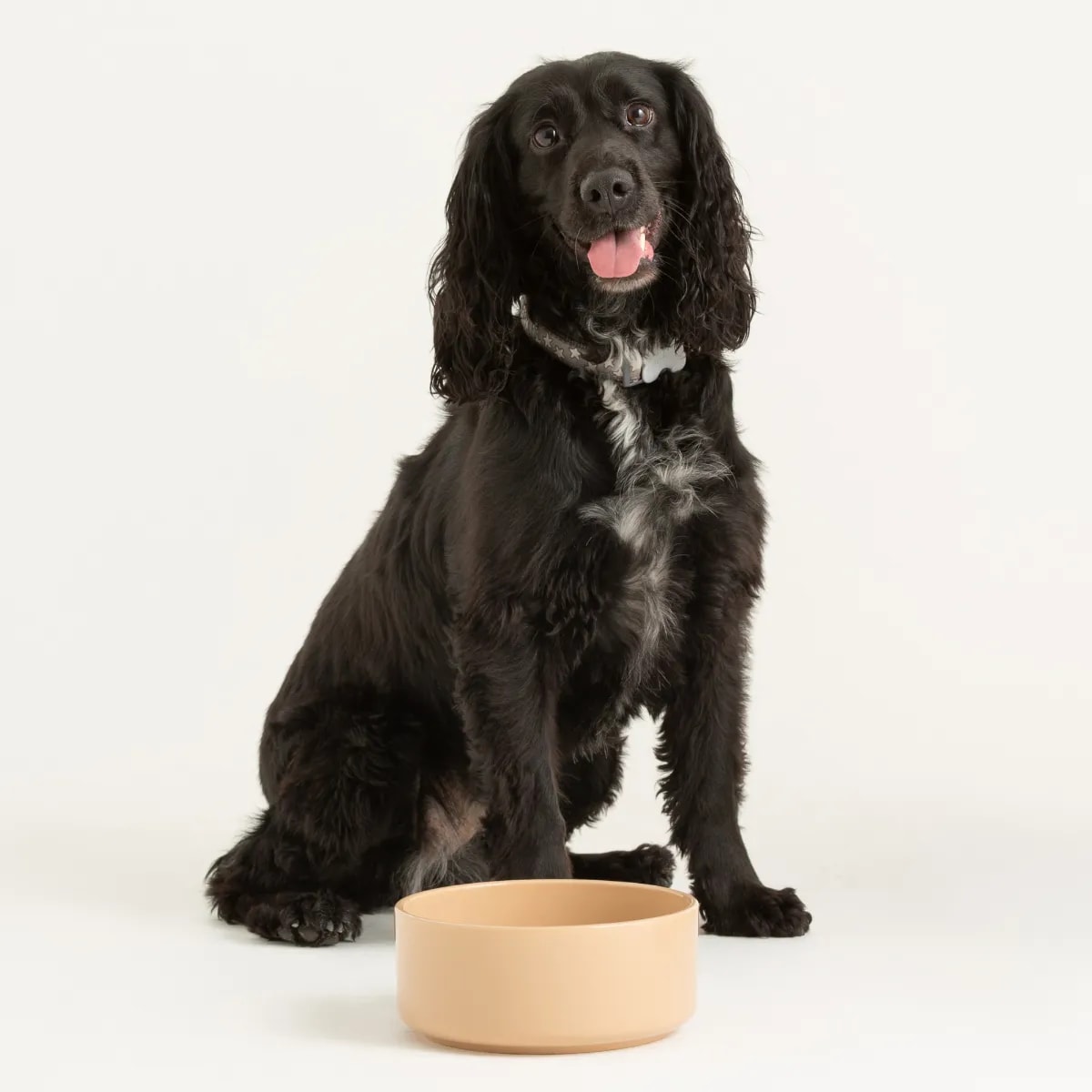 Stoneware Pet Bowl