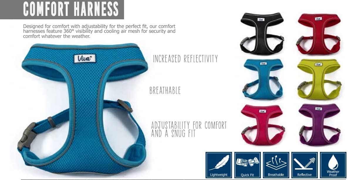 Mesh Dog Harness - Black