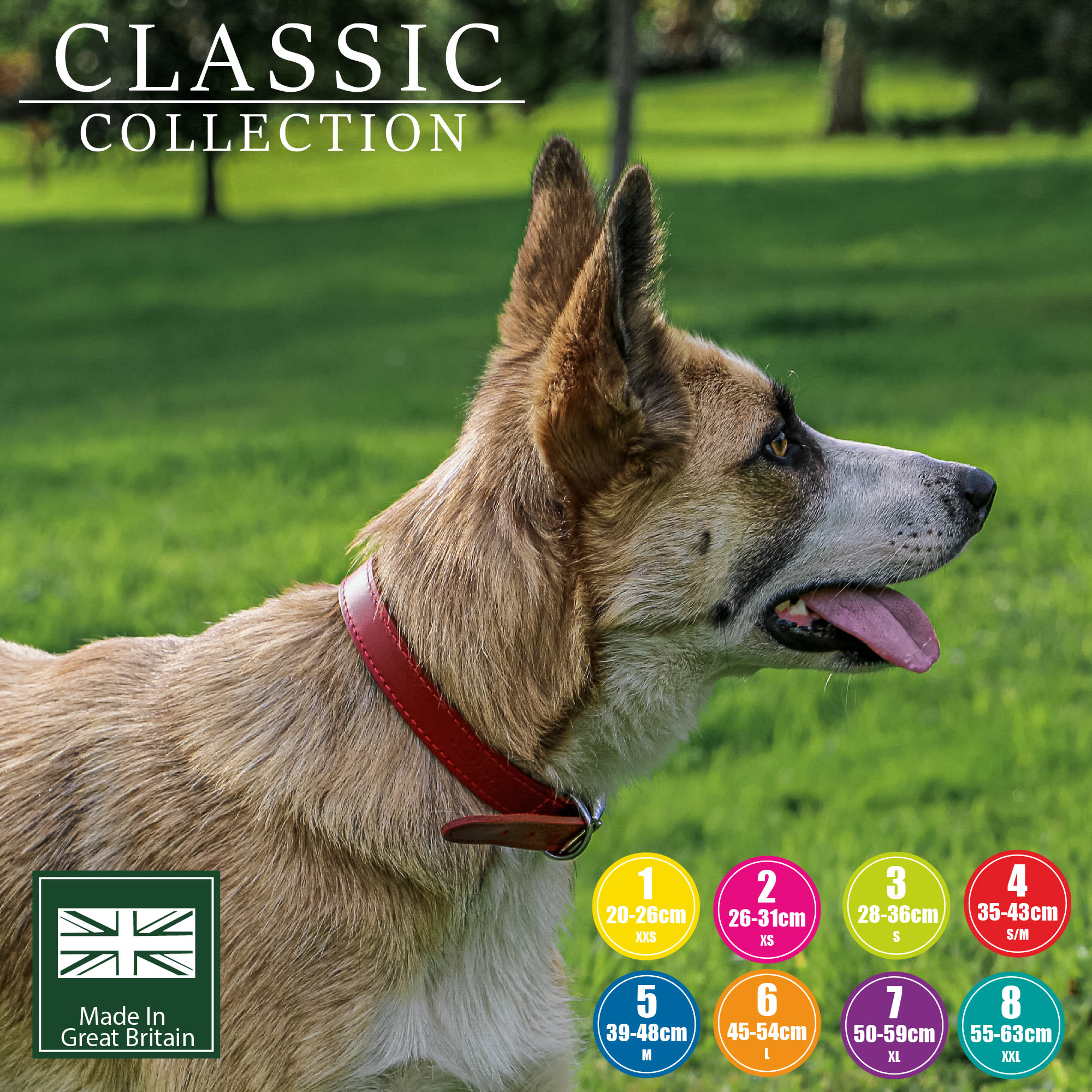 Leather Dog Collar - Red