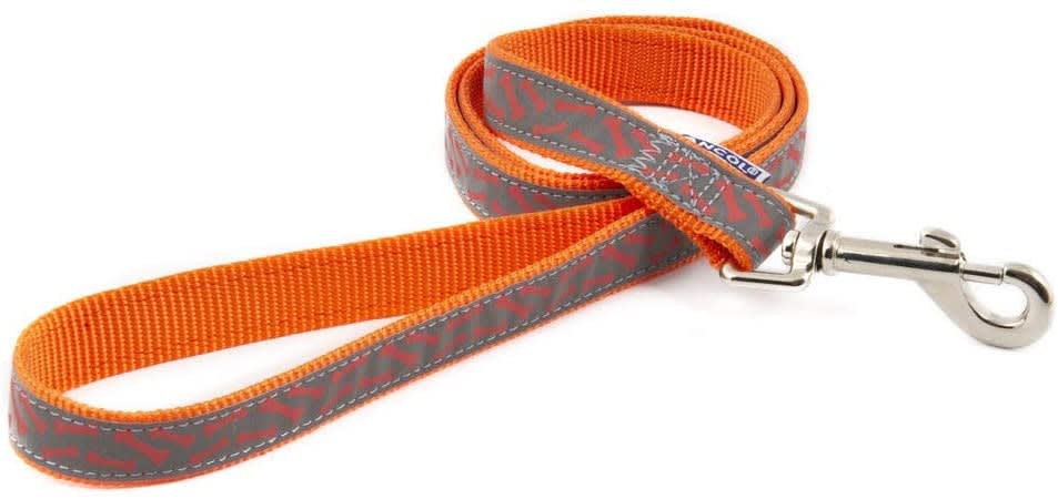 Reflective Dog Lead - Orange Bones