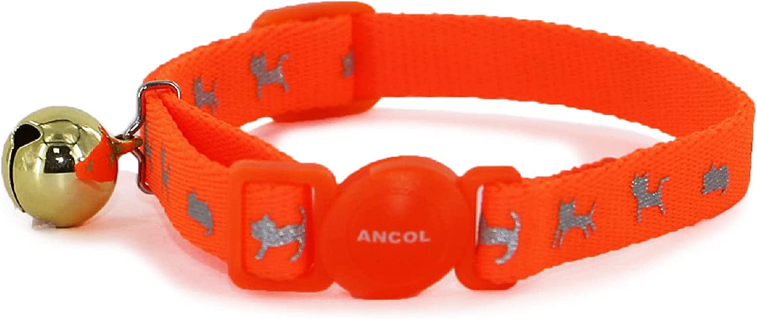 High Visibility Orange Cat Collar