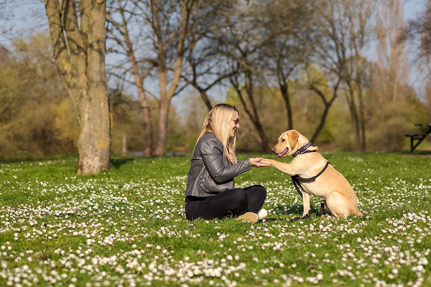 HALTI No Pull Harness - Black