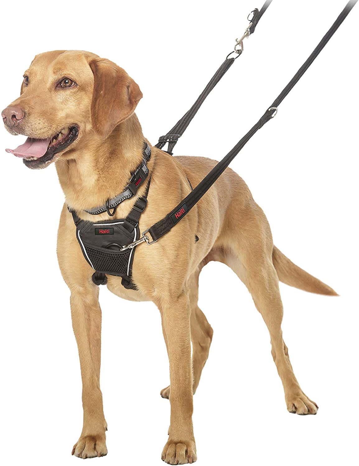 HALTI No Pull Harness - Black