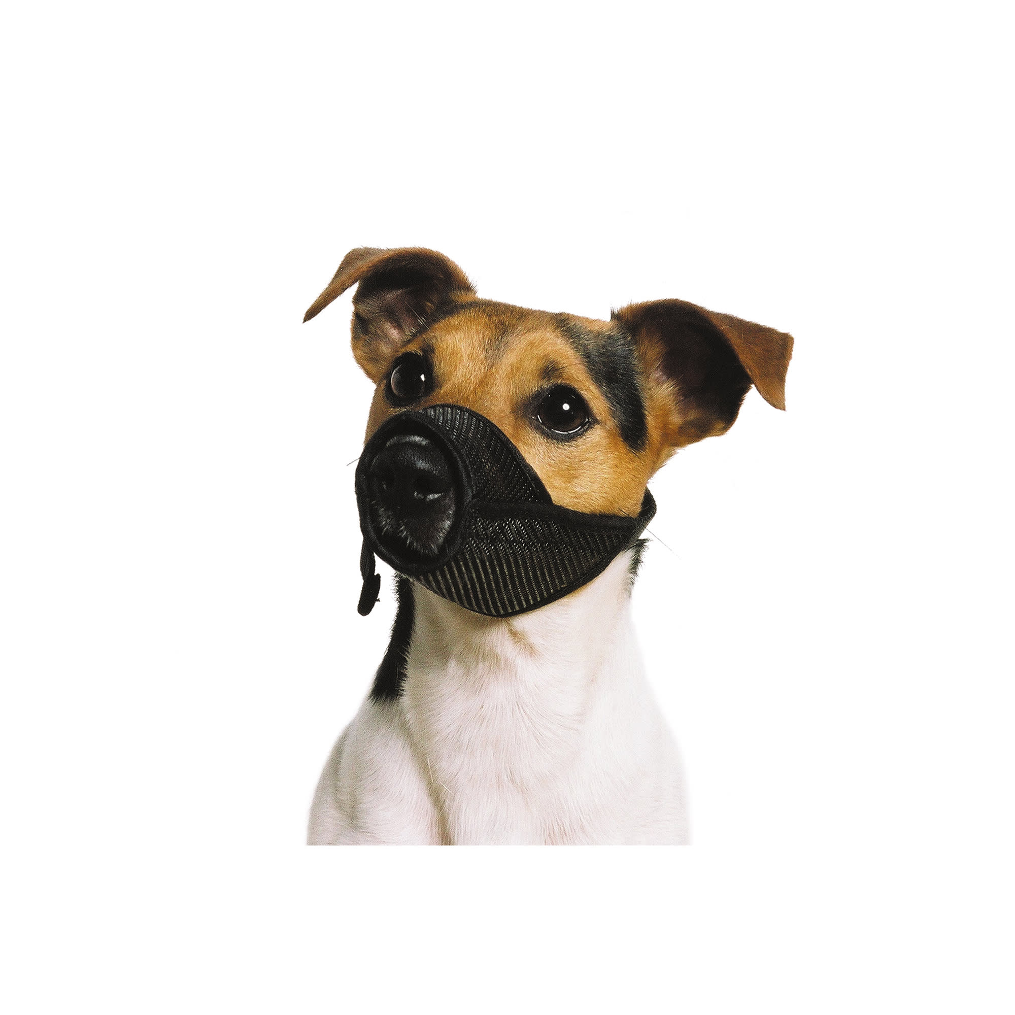 Mesh Dog Muzzle