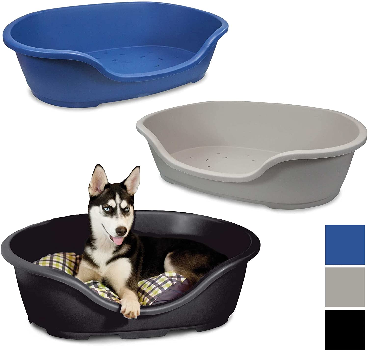 Blue Plastic Dog Bed